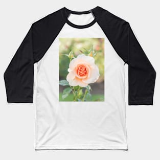 Perfect Pastel Peach Rose Baseball T-Shirt